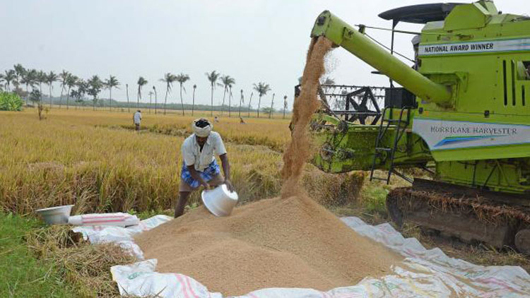 കോ​വി​ഡ്: പരമാവധി നെല്ല്​ കേരളത്തിൽനിന്നും സംഭരിക്കും
