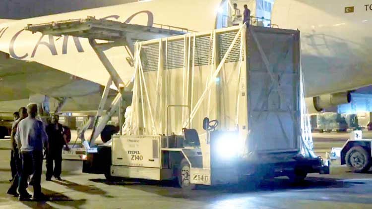 പാ​ർ​ക്കിൻെറ ഉ​ദ്​​ഘാ​ട​നം ഇ​ന്ന്​: ആ​ന​ക​ൾ എ​ത്തി​യ​ത് വി​മാ​ന​ത്തി​ൽ​