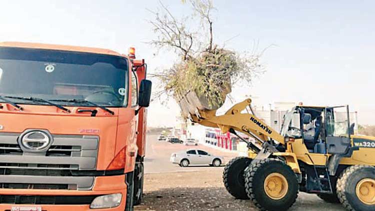മഴ ബാധിച്ച പ്രദേശങ്ങളിൽ ശുചീകരണ പ്രവർത്തനങ്ങൾ നടത്തി