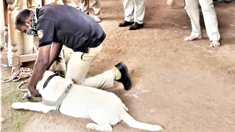 തൃക്കുറ്റിയേരി ക്ഷേത്രത്തിൽ വൻ കവർച്ച 