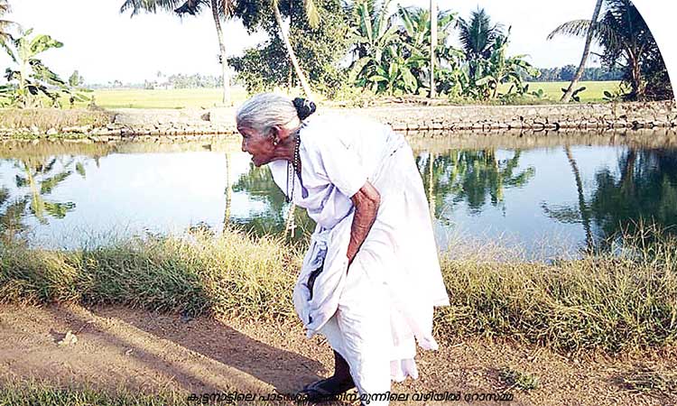 പ്രായാധിക്യത്തിൽ ശിരസ്സ്​ കാൽമുട്ടിനൊപ്പം; എന്നിട്ടും നിവർന്നുനിന്ന്​ റോസമ്മ