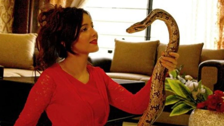 ‘നരകത്തിൽ കിടന്ന്​ മരിക്കൂ’; മോദിക്ക്​ വധഭീഷണിയുമായി പാക്​ പോപ്​ ഗായിക