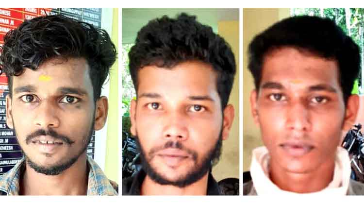 എസ്.എഫ്.െഎ നേതാവിനെ വെട്ടിയ കേസ്: മൂന്ന് ആർ.എസ്.എസുകാർ പിടിയിൽ