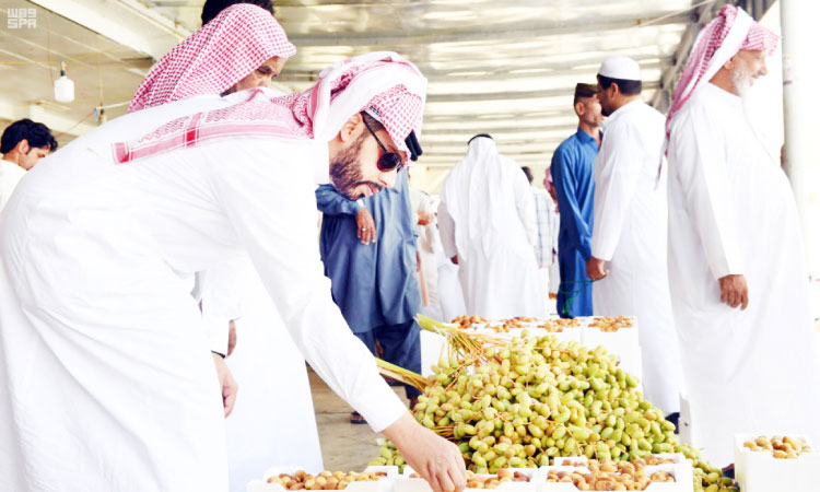 മ​ദീ​ന​യി​ൽ ‘റു​ത്വ​ബ്​’ ഇൗ​ത്ത​പ്പ​ഴം എ​ത്തി​ത്തു​ട​ങ്ങി