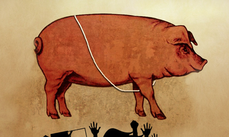 sacred-thread-to-pig