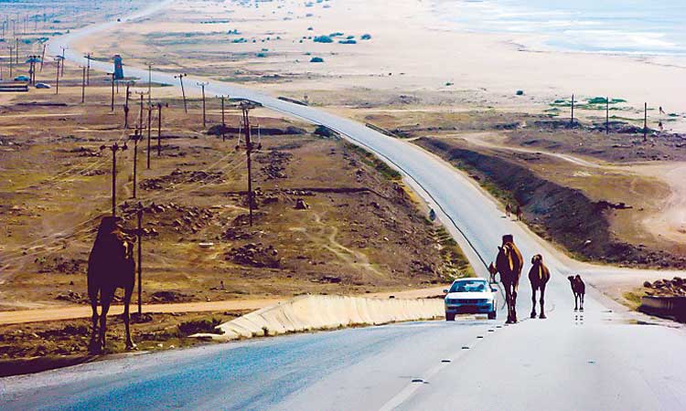 ഖ​രീ​ഫ്​: പൊ​ലീ​സി​െൻറ നി​ർ​ദേ​ശ​ങ്ങ​ൾ  പാ​ലി​ക്ക​ണം –ആ​ർ.​ഒ.​പി