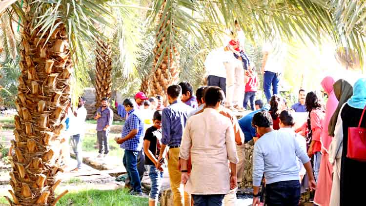 ച​രി​ത്ര​ത്തോ​ളം പ​ന്ത​ലി​ച്ചു കി​ട​ക്കു​ന്ന  ഒ​രു ഈ​ന്തപ്പ​ന​ത്തോ​ട്ടം