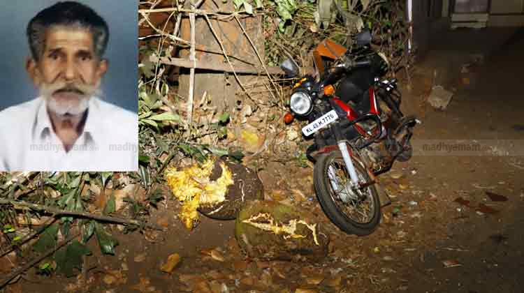 തലയില്‍ ചക്ക വീണ് ലോട്ടറി വില്‍പ്പനക്കാരന്‍ മരിച്ചു