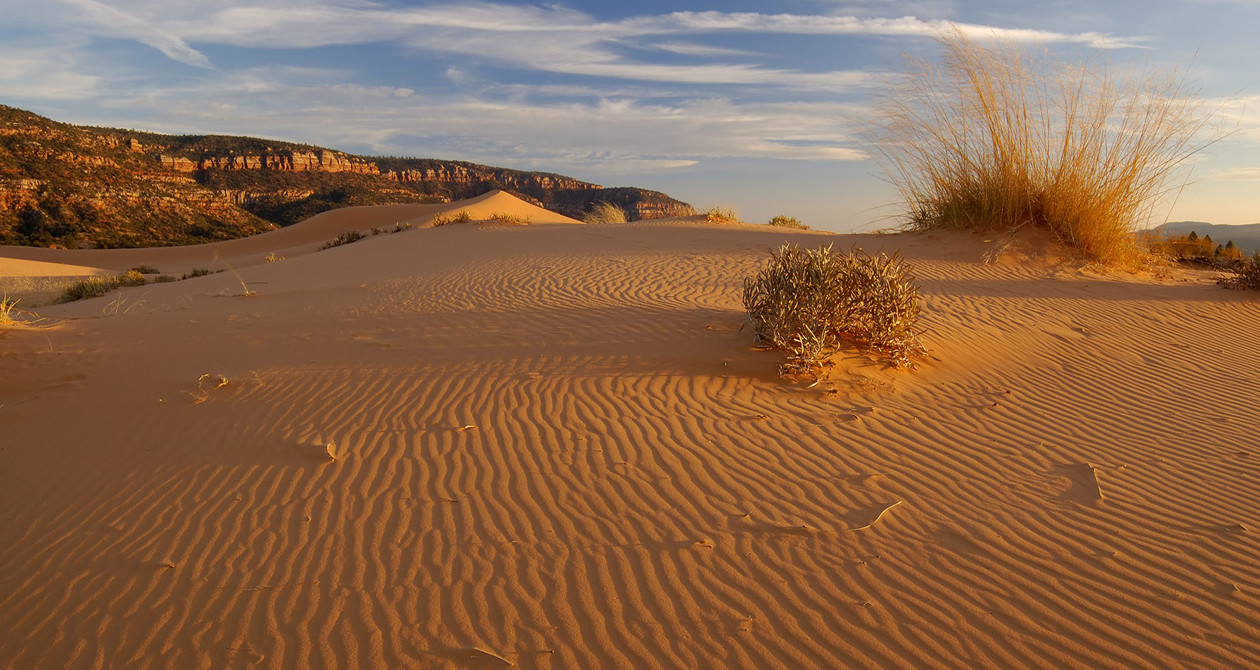 ഔട്ട്പാസ്: അതിജീവനത്തിന്‍റെ നേര്‍ക്കാഴ്ചകള്‍