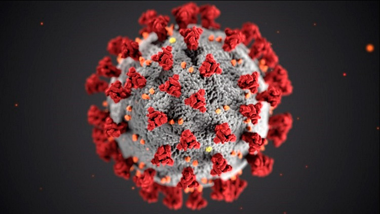 ആ​ശ​ങ്ക​ക്കി​ട​യി​ൽ ആ​ശ്വാ​സം:  സൗദിയിൽ ഒ​രാ​ൾ സു​ഖം പ്രാ​പി​ച്ചു