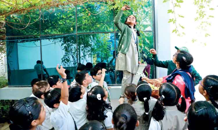 സ്​​കൂ​ൾ വ​ള​പ്പി​ൽ പാ​ഷ​ൻ ഫ്രൂ​ട്ടും മു​ന്തി​രി​യും വി​ള​വെ​ടു​ത്തു