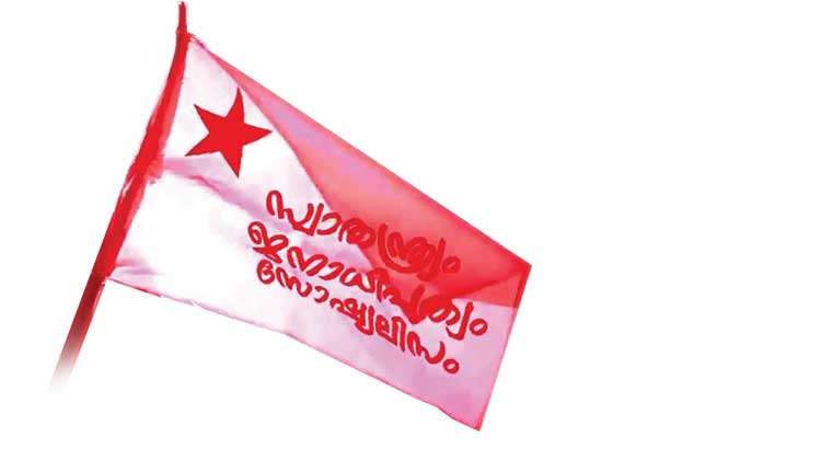 sfi-flag