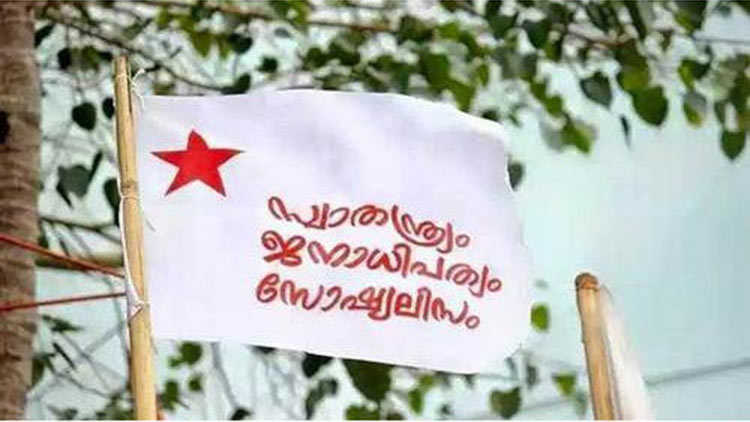sfi-flag