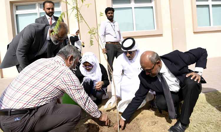 ആ വേപ്പ്​മരങ്ങൾ തണലേകും, തലമുറകൾക്ക്​