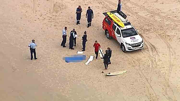 സർഫ്​ ചെയ്യുന്നതിനിടെ സ്രാവിൻെറ കടിയേറ്റ്​ മരിച്ചു