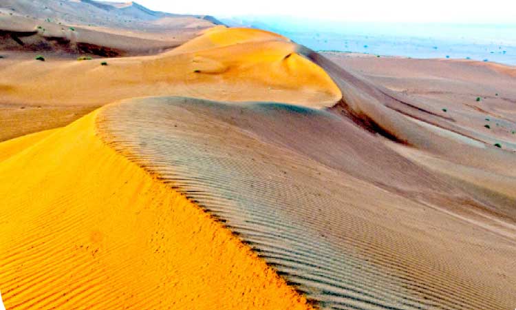 ഷ​ർ​ഖി​യ​യി​ലെ മ​രു​ഭൂ​വി​ൽ മൂ​ന്ന് പ്ര​ദേ​ശ​ങ്ങ​ൾ ടൂ​റി​സം കേ​ന്ദ്ര​മാ​കു​ന്നു