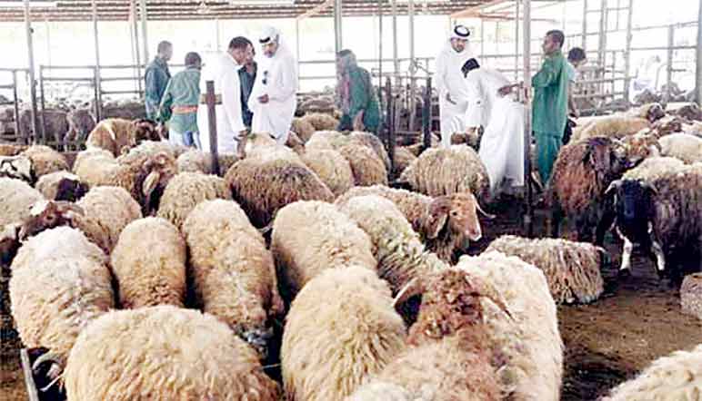 ബ​​ലി​​പെ​​രു​​ന്നാ​​ൾ ഭ​​ക്ഷ്യ​​വി​​ത​​ര​​ണ​​കേ​​ന്ദ്ര​​ങ്ങ​​ളി​​ലും  അ​​റ​​വു​​ശാലകളി​​ലും കർശന പ​​രി​​ശോ​​ധ​​ന