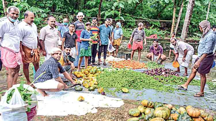 siddique-vegotables siddique-vegotables