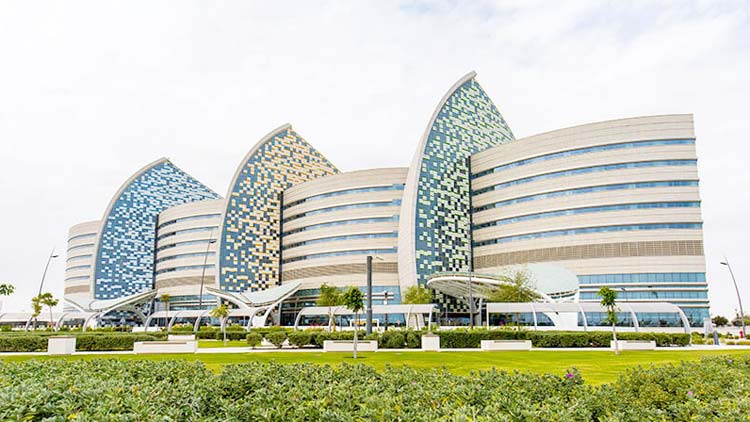 മ​​​യ​​​ക്ക്​​, വേ​​​ദ​​​ന സം​​​ഹാ​​​രി മ​​​രു​​​ന്നു​​​ക​​​ളു​​​ടെ  സം​​​സ്​​​​ക​​​ര​​​ണം; സി​​​ദ്​​​​റ വ​​​ഴി​​​കാ​​​ട്ടു​​​ന്നു