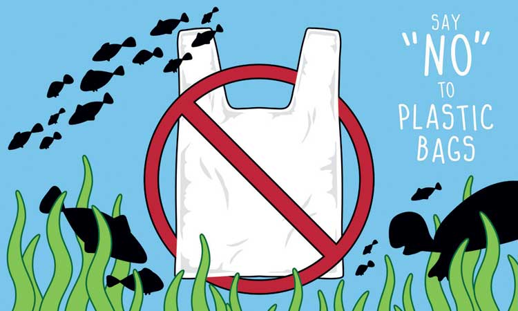 ഒ​റ്റ​ത്ത​വ​ണ ഉ​പ​യോ​ഗി​ക്കു​ന്ന​ പ്ലാ​സ്​​റ്റി​ക്കി​​ന്​  ഫീ​സ്​ ഇൗ​ടാ​ക്കാ​ൻ ആ​ലോ​ച​ന