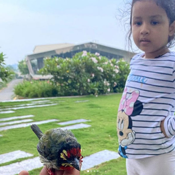 siva-dhoni siva-dhoni