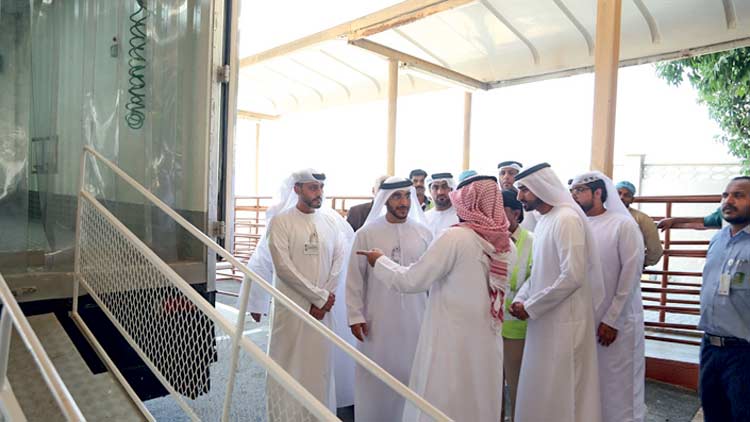 സു​ര​ക്ഷി​ത​മാ​യ മൃ​ഗ​ബ​ലി​ക്ക്​ ഷാ​ർ​ജ​യി​ൽ മൊ​ബൈ​ൽ അ​റ​വു​ശാ​ല