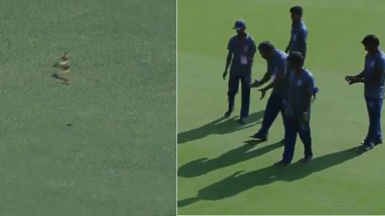 snake-ranji-trophy-ground