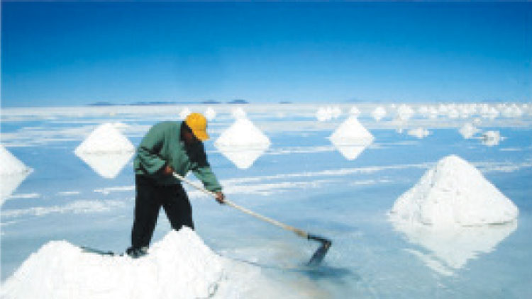 ടൂറിസം മാപ്പിലിടം നേടി​  ഉനൈസയിലെ ‘ഔഷസിയ’ ഉപ്പ് പാടം