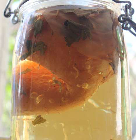 ‘കോമ്പൂച്ച’ ബഹിരാകാശത്തേക്ക്; ഭൂമിക്ക് പുറത്തെ അതിജീവന സാധ്യതകള്‍ പഠിക്കാന്‍