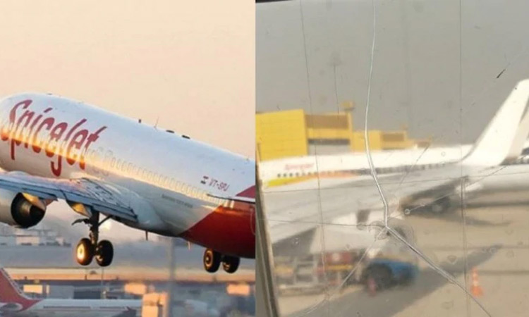 ടേപ്പ്​ ഒട്ടിച്ച വിൻഡോ ഗ്ലാസുമായി സർവീസ്​​​; മാപ്പുചോദിച്ച്​ സ്​പൈസ്​ ജെറ്റ്​