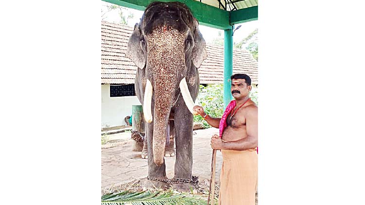 കൊലയാളിയെന്ന വിളിപ്പേര് ഇനിയില്ല; സ്‌നേഹത്തിന്​ മുന്നില്‍ കീഴടങ്ങിയ ശ്രീവല്ലഭന്‍ ഇപ്പോൾ ഓമന