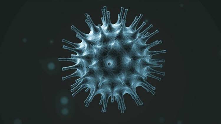 യു.​എ.​ഇ​യി​ൽ ര​ണ്ടു​പേ​ർ​ക്കു​കൂ​ടി കൊ​റോ​ണ