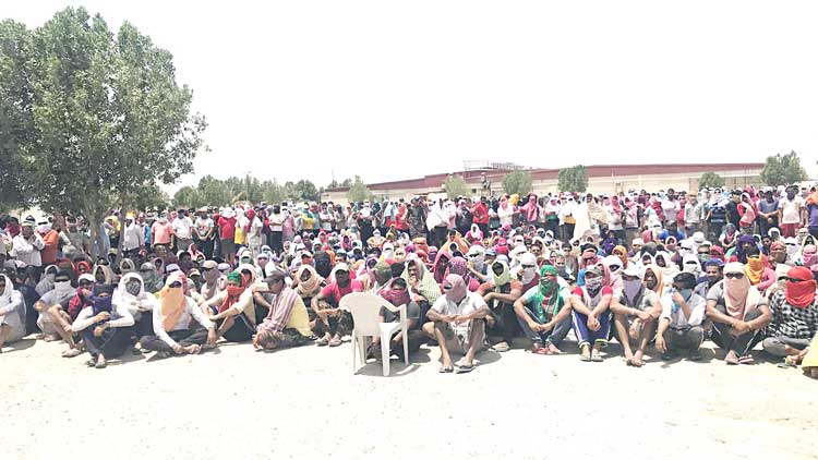 നാ​ലു മാ​സ​മാ​യി ശ​മ്പ​ളം ല​ഭി​ച്ചി​ല്ല; സ​മ​രവുമായി 4600 തൊ​ഴി​ലാ​ളി​ക​ൾ