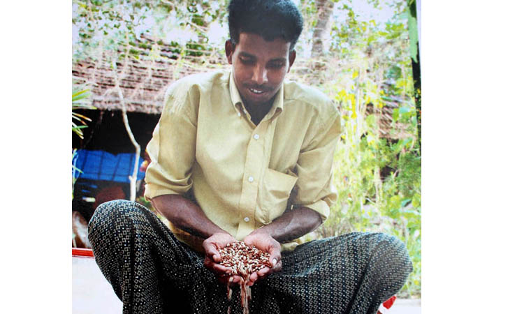 കഞ്ഞിക്കുഴിയിലെ പച്ചക്കറി വിത്ത് ഫാക്ടറി