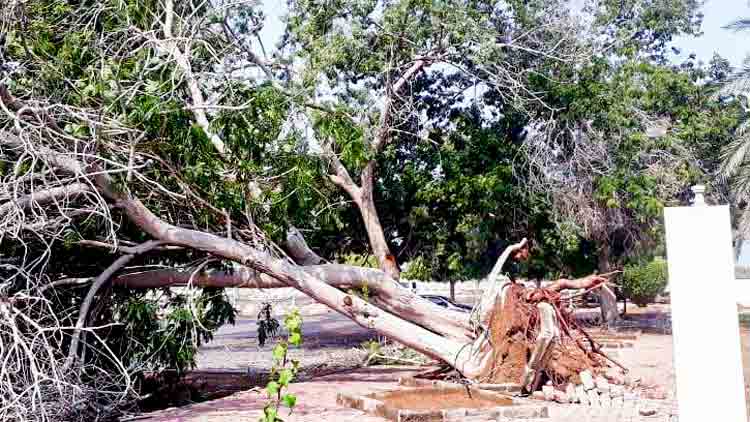 ശക്തമായ കാറ്റും മഴയും നാളെ വരെ തുടരും