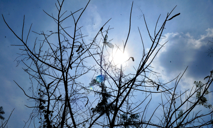സ്​കൂളുകളിൽ അവധിക്കാല ക്ലാസ്​ നിരോധിച്ചു