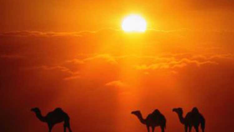 അ​ടു​ത്ത​യാ​ഴ്​​ച ചൂ​ട്​ കു​റ​യും; ജൂ​ലൈ​യി​ൽ ക​ടു​ത്ത ചൂ​ട്​ ത​ന്നെ