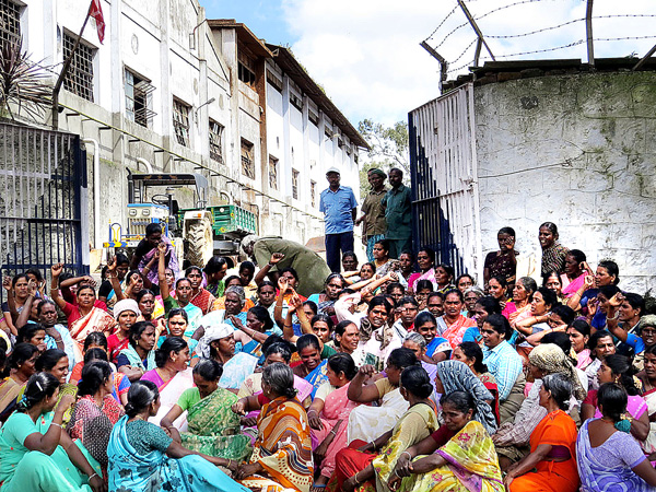 ടാറ്റാ ടീയിലും ഹാരിസണിലും തൊഴിലാളിസമരം