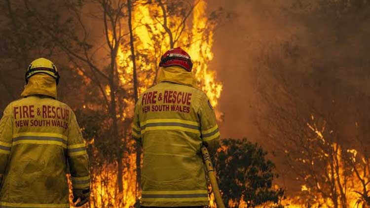 കാട്ടുതീ പരക്കുന്നു; ഭീതിമുനയിൽ സിഡ്​നി നഗരം