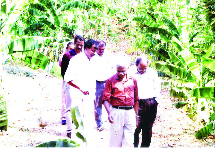 എം.എല്.എമാരെ കാത്തിരിക്കുന്നത് ജൈവ പൂവന്കുലകള് എം.എല്.എമാരെ കാത്തിരിക്കുന്നത് ജൈവ പൂവന്കുലകള്