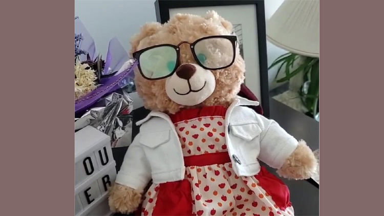 അതൊരു സാധാരണ ടെഡ്ഡിയല്ല, ദയവായി തിരിച്ചുതരണം; ഒരു കളിപ്പാട്ടത്തിനുവേണ്ടി കൈകോർത്ത്​ നെറ്റിസൺസ്​