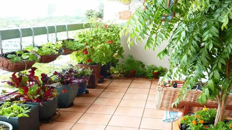 terres-garden.jpg terres-garden.jpg