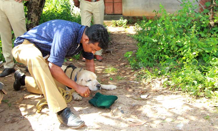 താനൂർ കൊലപാതകം: മൂന്നു സി.പി.എം പ്രവർത്തകർ അറസ്റ്റിൽ