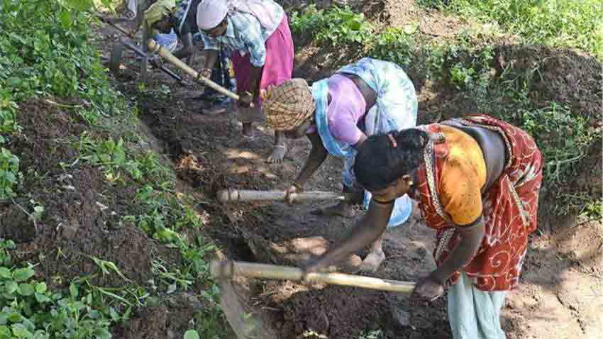 തൊഴിലുറപ്പ്​ തൊഴിലാളികൾക്ക്​ മുഖാവരണം ഗ്രാമപഞ്ചായത്തുകൾ​ വക; ഉത്തരവിറങ്ങി