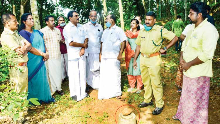 വടശ്ശേരിക്കരയിൽ വീണ്ടും കടുവ; ടാപ്പിങ് തൊഴിലാളി രക്ഷപ്പെട്ടത് തലനാരിഴക്ക്​