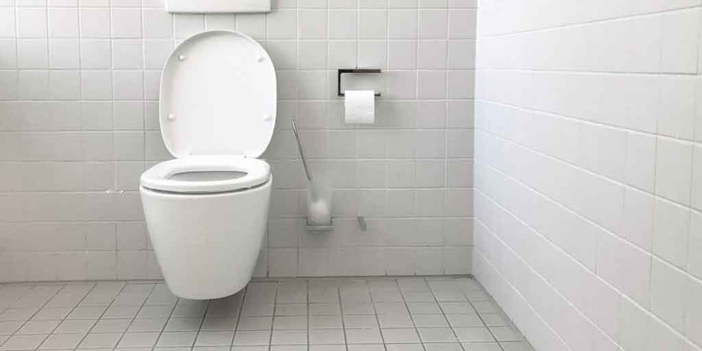 toilet-flush.jpg