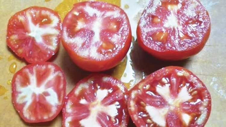 തക്കാളിയിലെ വെള്ള നിറം: കാരണം ഹോർമോൺ അല്ല