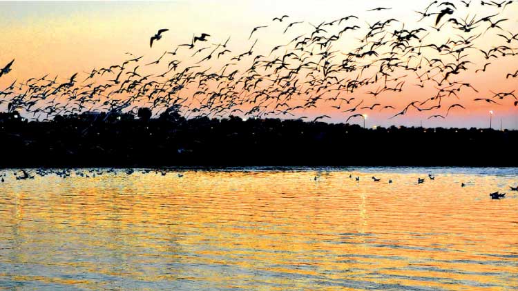 റാ​സ​ല്‍ഖൈ​മ​യി​ല്‍ ഏ​ക​ദി​ന വി​നോ​ദ വ്യ​വ​സാ​യ ഫോ​റം ഒ​ക്ടോ​ബ​റി​ല്‍