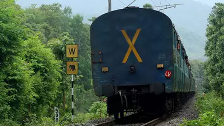 റെയിൽവേ പാലത്തിൽ സെൽഫിയെടുക്കവെ പെൺകുട്ടി ട്രെയിനിടിച്ച് മരിച്ചു