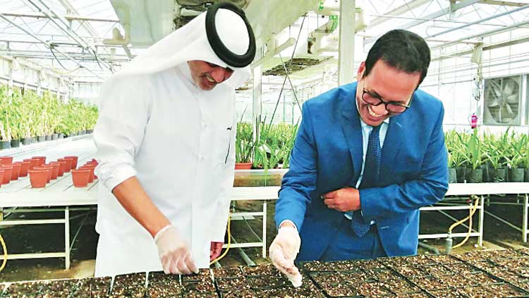 പ​ദ്ധ​തി തു​ട​ങ്ങി; വ​ർ​ഷ​ംതോ​റും  4000 മ​രം ന​ടും